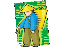 chinese farmer